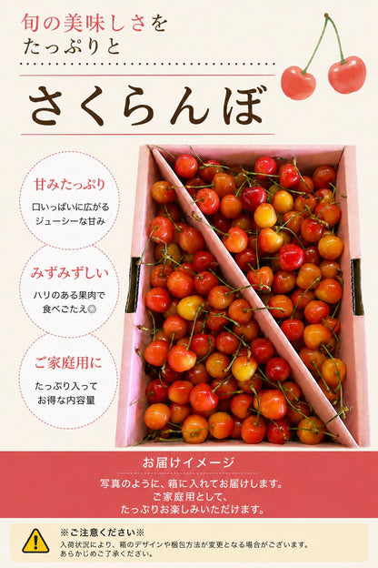 さくらんぼ ご家庭用 1kg／2kg 山形県産 【品種お任せ(S～2Lサイズ混合) クール便 6月下旬頃から発送予定 訳あり 規格外】
