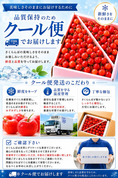 さくらんぼ ご家庭用 1kg／2kg 山形県産 【品種お任せ(S～2Lサイズ混合) クール便 6月下旬頃から発送予定 訳あり 規格外】