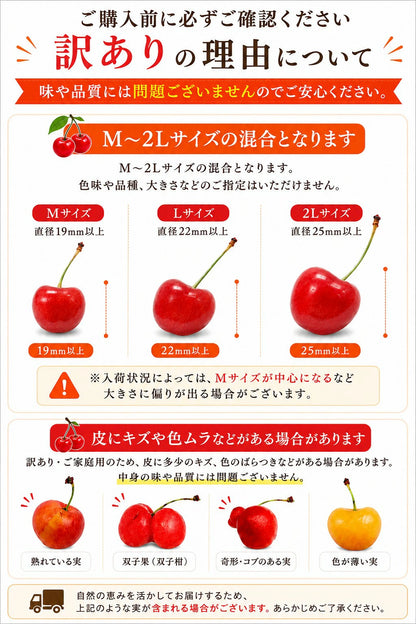 さくらんぼ ご家庭用 1kg／2kg 山形県産 【品種お任せ(S～2Lサイズ混合) クール便 6月下旬頃から発送予定 訳あり 規格外】