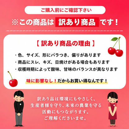 さくらんぼ ご家庭用 1kg／2kg 山形県産 【品種お任せ(S～2Lサイズ混合) クール便 6月下旬頃から発送予定 訳あり 規格外】
