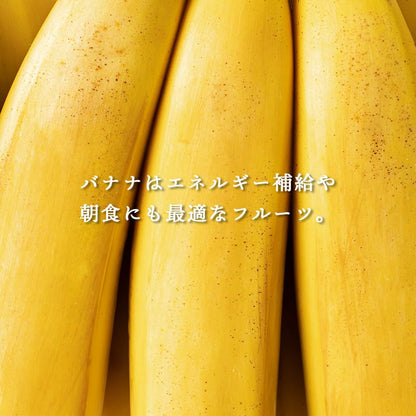 バナナ 訳あり ご家庭用 フィリピン産 約15kg 箱