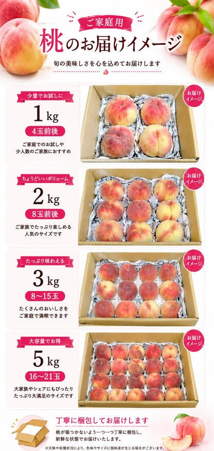 桃