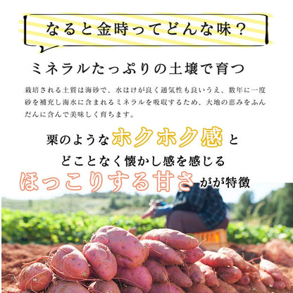 鳴門金時 3kg/5kg 新鮮 サツマイモ 産地直送 美味しい