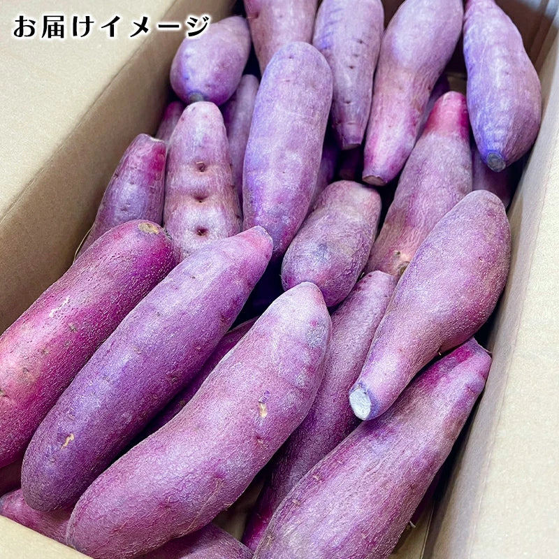 鳴門金時 3kg/5kg 新鮮 サツマイモ 産地直送 美味しい