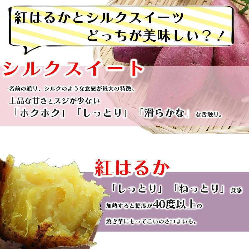 シルクスイート 3kg/5kg 新鮮 サツマイモ 産地直送 美味しい