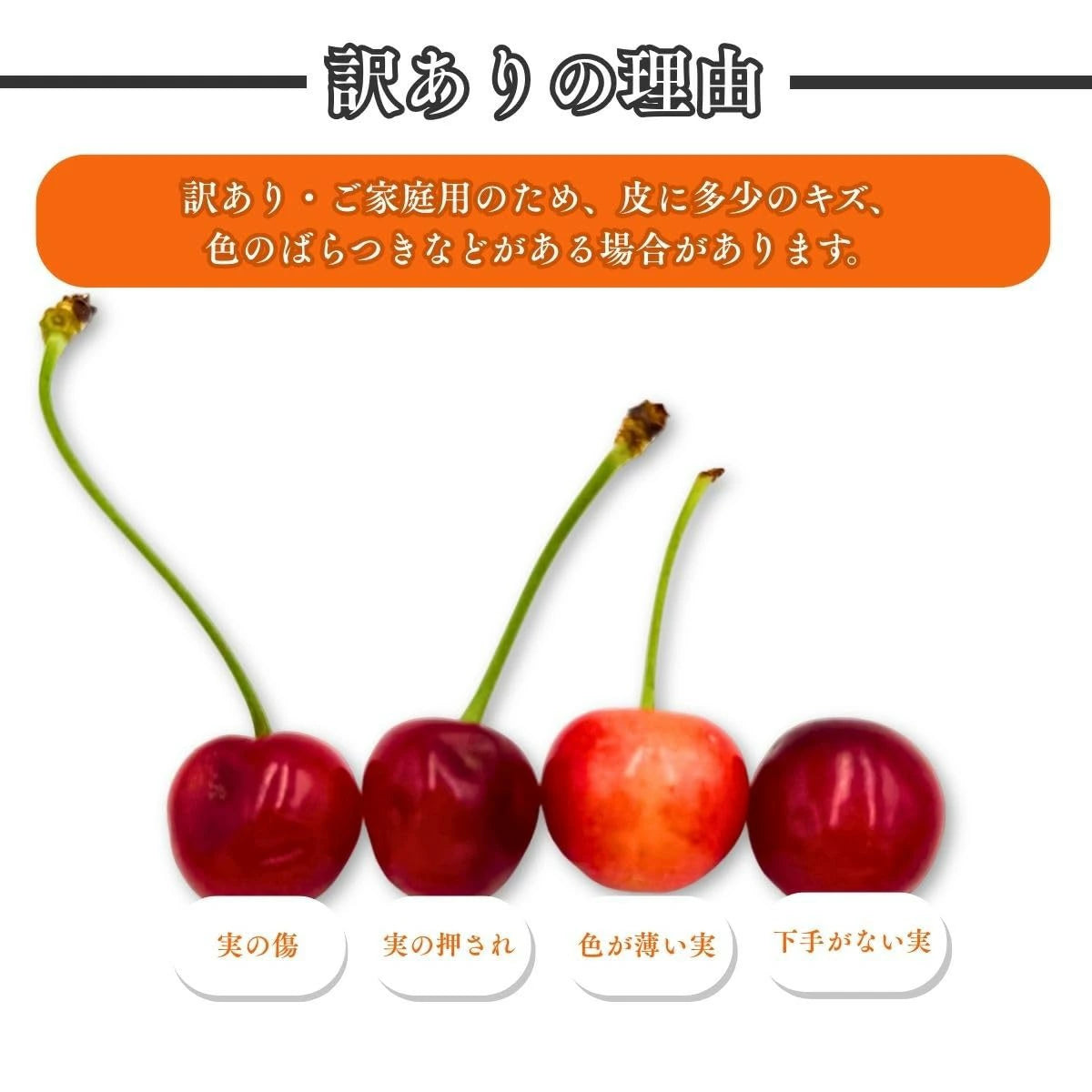さくらんぼ ご家庭用 1kg／2kg 山形県産 【品種お任せ(S～2Lサイズ混合) クール便 6月下旬頃から発送予定 訳あり 規格外】