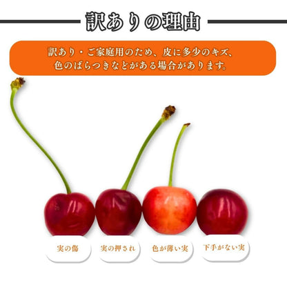 さくらんぼ ご家庭用 1kg／2kg 山形県産 【品種お任せ(S～2Lサイズ混合) クール便 6月下旬頃から発送予定 訳あり 規格外】