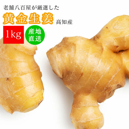 生姜 1kg 国産 黄金生姜 高知県 産 美味しい ショウガ 新鮮 熨斗ラッピング対応