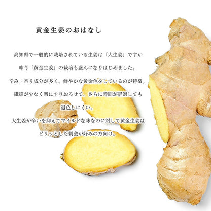生姜 1kg 国産 黄金生姜 高知県 産 美味しい ショウガ 新鮮 熨斗ラッピング対応