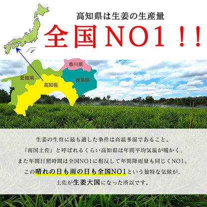 生姜 1kg 国産 黄金生姜 高知県 産 美味しい ショウガ 新鮮 熨斗ラッピング対応