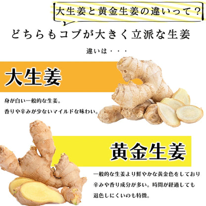 生姜 1kg 国産 黄金生姜 高知県 産 美味しい ショウガ 新鮮 熨斗ラッピング対応
