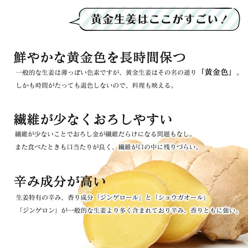 生姜 1kg 国産 黄金生姜 高知県 産 美味しい ショウガ 新鮮 熨斗ラッピング対応