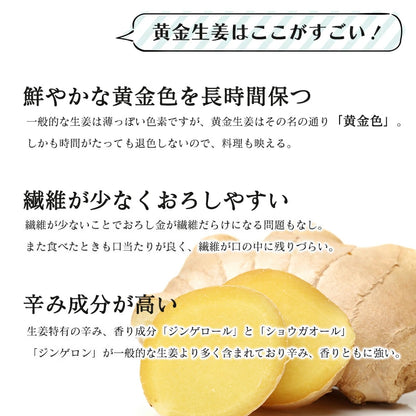 生姜 1kg 国産 黄金生姜 高知県 産 美味しい ショウガ 新鮮 熨斗ラッピング対応