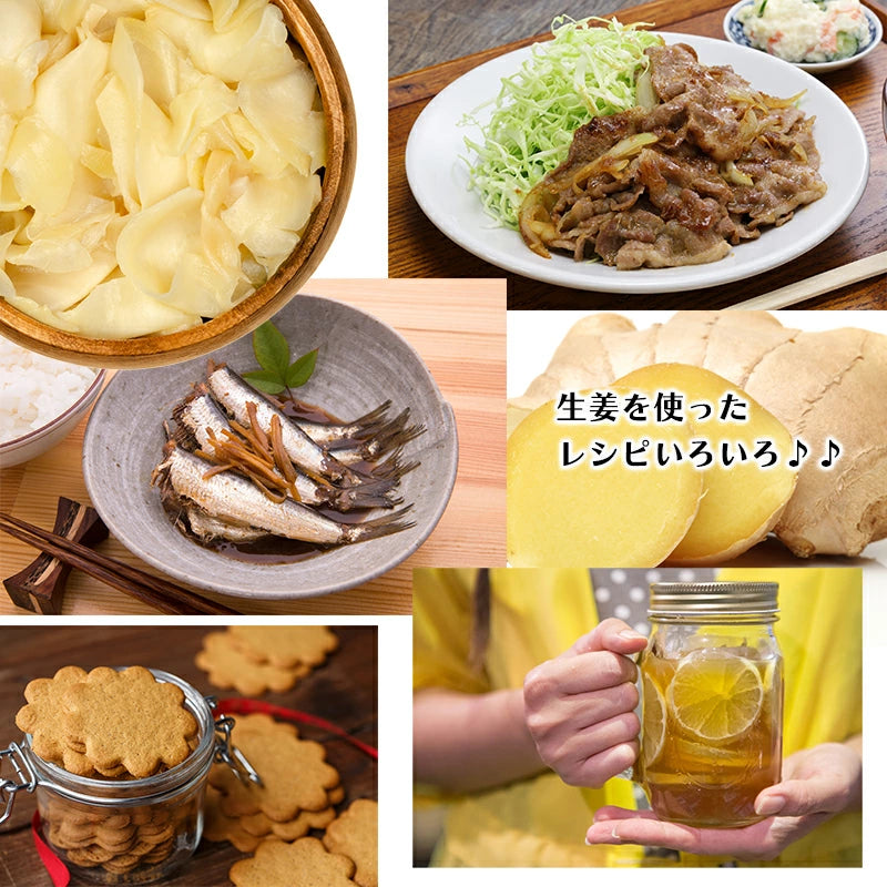 生姜 1kg 国産 黄金生姜 高知県 産 美味しい ショウガ 新鮮 熨斗ラッピング対応